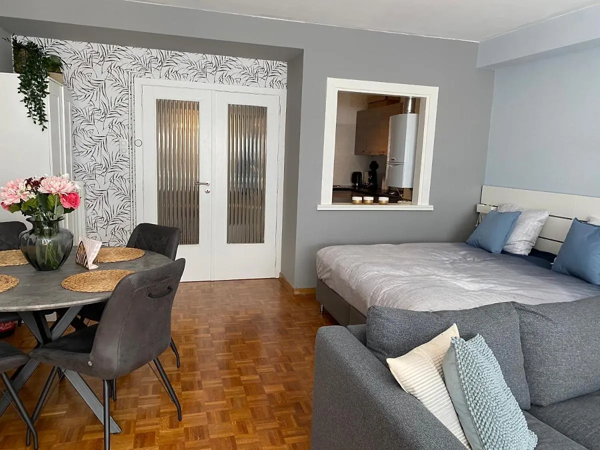 Studio direct aan het hoofdstrand van Oostende - naast Casino Appartement België
